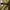 Stussy Streetwear Y2K Hat Pria khaki photo 2