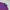 Polo Ralph Lauren Casual Polo Shirt Pria Purple Blue