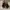 Guten Inc Vintage Casual Boots Pria tan brown photo 6