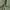 Minimalist Formal pants Pria green photo 3