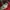 Nike Gorpcore Sportswear Hoody Pria red black photo 3