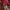 Nike Gorpcore Sportswear Hoody Pria red black photo 4