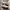 Puma Indie Casual Sneakers Pria white cream photo 1