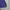 Lyle & Scott Casual Polo shirt Pria navy photo 4