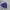 Lyle & Scott Casual Polo shirt Pria navy photo 1