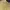 iORA Luxury Blouse Wanita yellow photo 4