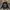 Chrome Hearts Vintage Sweatshirt Pria black photo 1