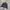 Casual Windbreaker Pria black photo 1