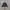 Casual Windbreaker Pria black photo 2