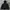 Earth, Music & Ecology Gorpcore Sportswear Puffer jacket Pria black photo 1