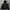 Earth, Music & Ecology Gorpcore Sportswear Puffer Jacket Pria Black