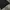 Earth, Music & Ecology Gorpcore Sportswear Puffer jacket Pria black photo 3