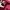 Ellesse Casual Track jacket Wanita pink photo 3