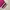 Ellesse Casual Track jacket Wanita pink photo 4