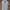 Polo Ralph Lauren Indie Casual Polo shirt Pria gray photo 1