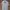 Polo Ralph Lauren Indie Casual Polo Shirt Pria Gray