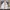 MLB Vintage Jersey Pria white photo 1