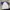 MLB Vintage Jersey Pria white photo 4