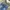 Vintage Jeans Pria blue photo 1