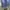 Vintage Jeans Pria blue photo 6