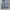 Outdoor Research Vintage Sweatpants & Joggers Pria gray photo 4