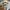 Japanese brand Streetwear Casual Casual shirt Pria multicolor photo 3
