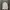 Japanese brand Streetwear Casual Casual shirt Pria cream photo 2