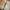 Crocs Casual Sandals & slide Kids tan photo 6