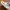 Crocs Casual Sandals & slide Kids tan photo 3
