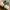 Crocs Casual Sandals & slide Kids tan photo 4
