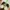 Crocs Casual Sandals & slide Kids tan photo 1
