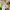 Crocs Casual Sandals & slide Kids tan photo 5