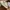 Crocs Casual Sandals & slide Kids tan photo 2