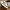 Crocs Casual Sandals & Slide Kids Tan