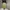 Japanese brand Gorpcore Pria green photo 6