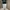 Japanese brand Streetwear Skater Jeans Pria multicolor photo 7
