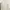 Giordano Luxury Minimalist Sweater Wanita white photo 2