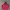 Vintage Streetwear Hoody Pria red photo 2