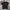 Stussy Streetwear Y2K T-shirt Pria black photo 2