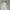 Vintage Streetwear Hoody Pria gray photo 4