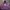 have a good time Casual Hoody Pria purple photo 1