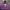 Have A Good Time Casual Hoody Pria Purple