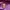 have a good time Casual Hoody Pria purple photo 2