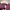 H&M Crop top Wanita burgundy photo 3