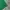 Dickies Streetwear Skater Short Pria green photo 5