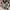 VANS Y2K Skater Sneakers Wanita white black photo 3