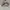 Louis Vuitton Casual Sneakers Pria white cream photo 1