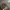 Fear of God ESSENTIALS Streetwear Luxury Hoody Pria multicolor tan photo 4