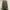 Fear of God ESSENTIALS Streetwear Luxury Hoody Pria multicolor tan photo 2