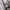 Japanese brand Vintage Streetwear Casual shirt Pria white photo 5